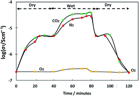 Graphical abstract: Oxygen non-stoichiometry, conductivity and gas sensor response of SnO2 pellets