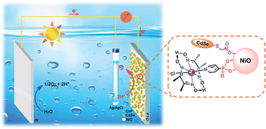Graphical abstract: CdSe quantum dots/molecular cobalt catalyst co-grafted open porous NiO film as a photocathode for visible light driven H2 evolution from neutral water