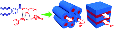 Graphical abstract: Use of a protic salt for the formation of liquid-crystalline proton-conductive complexes with mesomorphic diols