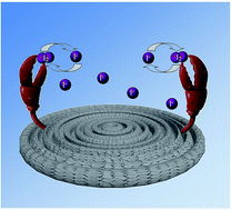 Graphical abstract: Towards sustainable power sources: chitin-bound carbon electrodes for electrochemical capacitors