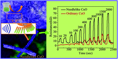 Graphical abstract: Design and understanding of a high-performance gas sensing material based on copper oxide nanowires exfoliated from a copper mesh substrate