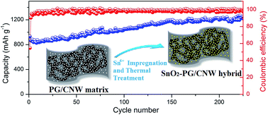 Graphical abstract: A porous graphene/carbon nanowire hybrid with embedded SnO2 nanocrystals for high performance lithium ion storage