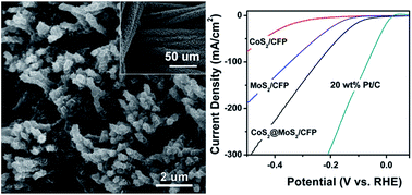 Graphical abstract: MoS2 nanosheet-coated CoS2 nanowire arrays on carbon cloth as three-dimensional electrodes for efficient electrocatalytic hydrogen evolution