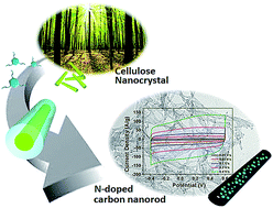 Graphical abstract: Nitrogen-enriched porous carbon nanorods templated by cellulose nanocrystals as high performance supercapacitor electrodes