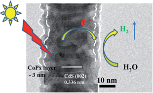 Graphical abstract: Core–shell amorphous cobalt phosphide/cadmium sulfide semiconductor nanorods for exceptional photocatalytic hydrogen production under visible light