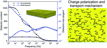 Graphical abstract: Boost up dielectric constant and push down dielectric loss of carbon nanotube/cyanate ester composites via gradient and layered structure design