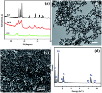 Graphical abstract: Visible-light-driven photocatalytic bacterial inactivation and the mechanism of zinc oxysulfide under LED light irradiation