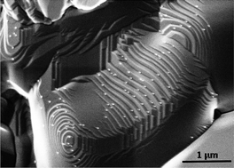 Graphical abstract: Oxygen content, cobalt oxide exsolution and defect structure of the double perovskite PrBaCo2O6−δ