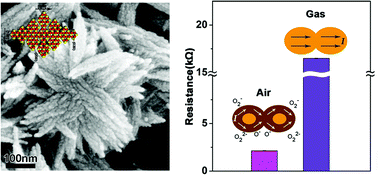 Graphical abstract: Laser synthesis of clean mesocrystal of cupric oxide for efficient gas sensing