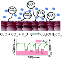 Graphical abstract: Investigation of CO2 reaction with copper oxide nanoparticles for room temperature gas sensing