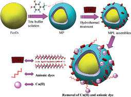 Graphical abstract: Retracted Article: Magnetic polydopamine decorated with Mg–Al LDH nanoflakes as a novel bio-based adsorbent for simultaneous removal of potentially toxic metals and anionic dyes