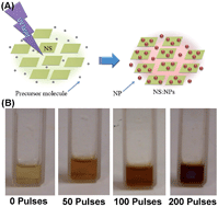 Graphical abstract: Laser induced nucleation of plasmonic nanoparticles on two-dimensional nanosheets for organic photovoltaics