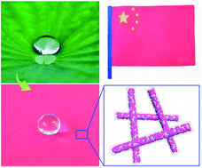 Graphical abstract: From Maya blue to biomimetic pigments: durable biomimetic pigments with self-cleaning property