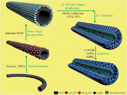 Graphical abstract: Synthesis and characterization of magnetic elongated hollow mesoporous silica nanocapsules with silver nanoparticles