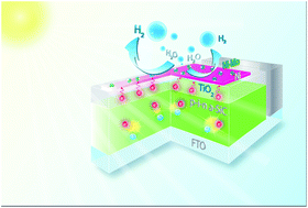 Graphical abstract: Engineering the kinetics and interfacial energetics of Ni/Ni–Mo catalyzed amorphous silicon carbide photocathodes in alkaline media