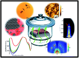 Graphical abstract: Investigation of morphological degradation of P3HT:PCBM bulk heterojunction films exposed to long-term host solvent vapor