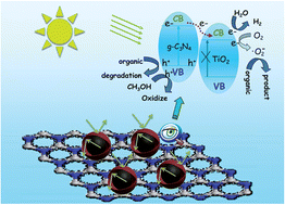 Graphical abstract: Constructing graphite-like carbon nitride modified hierarchical yolk–shell TiO2 spheres for water pollution treatment and hydrogen production