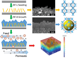 Graphical abstract: Pseudopolymorphic seeding for the rational synthesis of hybrid membranes with a zeolitic imidazolate framework for enhanced molecular separation performance