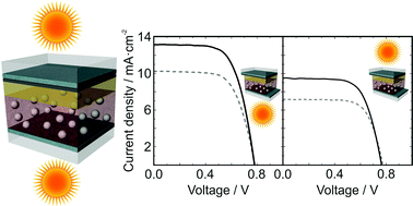 Graphical abstract: Efficient bifacial dye-sensitized solar cells through disorder by design