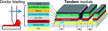 Graphical abstract: Efficient polymer tandem modules and solar cells by doctor blading