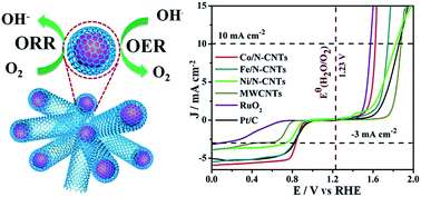 Graphical abstract: Transition metals (Fe, Co, and Ni) encapsulated in nitrogen-doped carbon nanotubes as bi-functional catalysts for oxygen electrode reactions