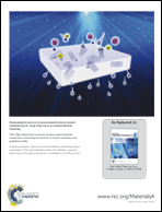 Graphical abstract: Back cover