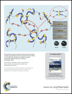 Graphical abstract: Inside back cover