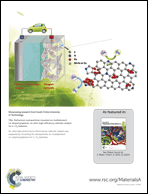 Graphical abstract: Inside back cover