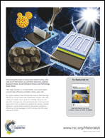 Graphical abstract: Back cover