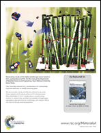 Graphical abstract: Back cover