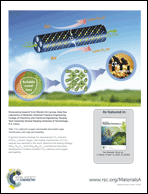 Graphical abstract: Inside back cover