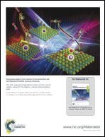 Graphical abstract: Back cover