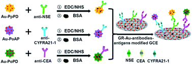 Graphical abstract: Novel gold-decorated polyaniline derivatives as redox-active species for simultaneous detection of three biomarkers of lung cancer