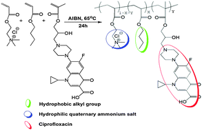 Graphical abstract: Synthesis, characterization and antimicrobial activities of water-soluble amphiphilic copolymers containing ciprofloxacin and quaternary ammonium salts