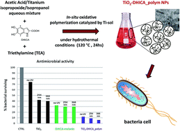 Graphical abstract: Titania as a driving agent for DHICA polymerization: a novel strategy for the design of bioinspired antimicrobial nanomaterials