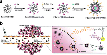 Graphical abstract: Self-assembled targeted folate-conjugated eight-arm-polyethylene glycol–betulinic acid nanoparticles for co-delivery of anticancer drugs