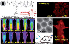 Graphical abstract: Magnetic nanomaterials with near-infrared pH-activatable fluorescence via iron-catalyzed AGET ATRP for tumor acidic microenvironment imaging