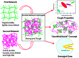 Graphical abstract: Fundamentals of double network hydrogels