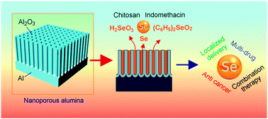 Graphical abstract: Localized drug delivery of selenium (Se) using nanoporous anodic aluminium oxide for bone implants