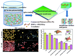 Graphical abstract: One-pot cross-linked copolymerization for the construction of robust antifouling and antibacterial composite membranes
