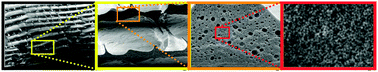 Graphical abstract: Hierarchical bioglass scaffolds: introducing the “milky way” for templated bioceramics