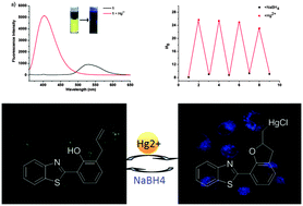 Graphical abstract: A reusable ratiometric two-photon chemodosimeter for Hg2+ detection based on ESIPT and its application in bioimaging