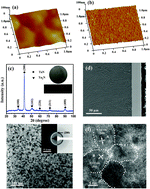 Graphical abstract: Promoting bone-like apatite formation on titanium alloys through nanocrystalline tantalum nitride coatings