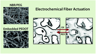 Graphical abstract: Electrospun rubber fibre mats with electrochemically controllable pore sizes