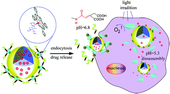 Graphical abstract: Dual pH-responsive mesoporous silica nanoparticles for efficient combination of chemotherapy and photodynamic therapy
