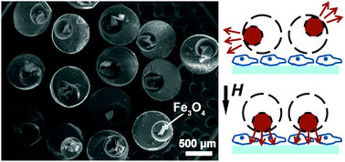 Graphical abstract: Eccentric magnetic microcapsules for orientation-specific and dual stimuli-responsive drug release