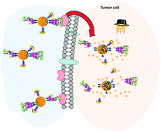 Graphical abstract: Mesoporous silica nanoparticles grafted with a light-responsive protein shell for highly cytotoxic antitumoral therapy