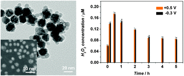 Graphical abstract: Bimetallic Au@Pt@Au core–shell nanoparticles on graphene oxide nanosheets for high-performance H2O2 bi-directional sensing