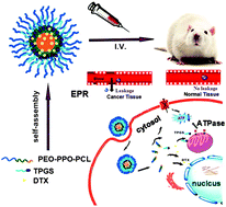 Graphical abstract: Docetaxel-loaded PEO–PPO–PCL/TPGS mixed micelles for overcoming multidrug resistance and enhancing antitumor efficacy