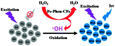 Graphical abstract: Three-dimensional Fe- and N-incorporated carbon structures as peroxidase mimics for fluorescence detection of hydrogen peroxide and glucose